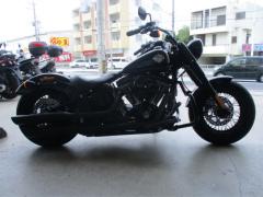 HD SLIM S FLSS1800 2016