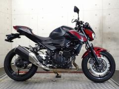 Kawasaki Z250 2019