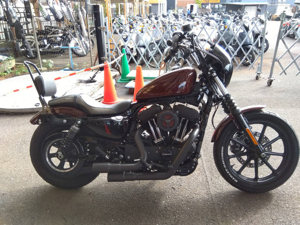 HD SPORTSTER XL1200N 2019