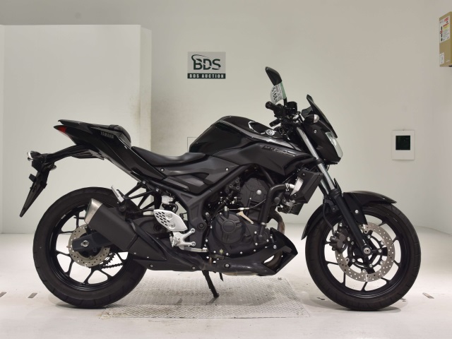Yamaha MT-25 2019