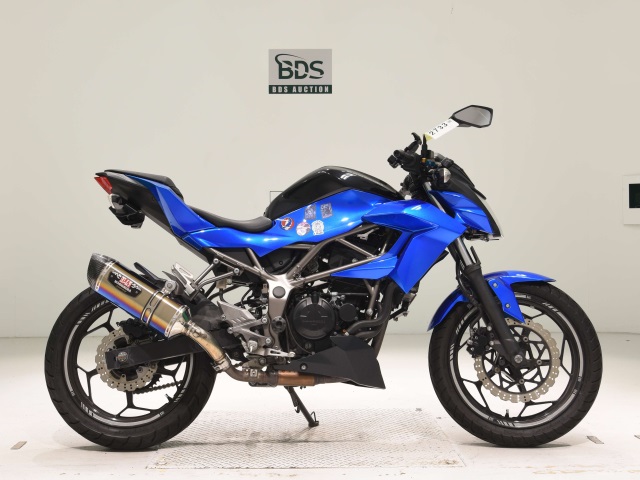 Kawasaki Z250SL 2016