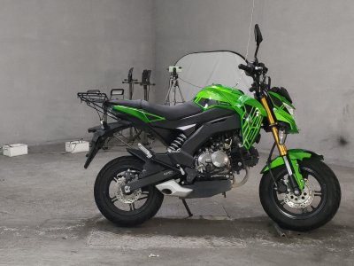 Kawasaki Z125 PRO 2019