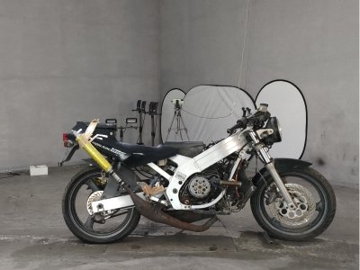 Suzuki WOLF250