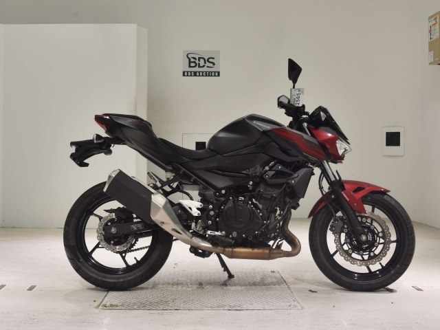 Kawasaki Z250 2019