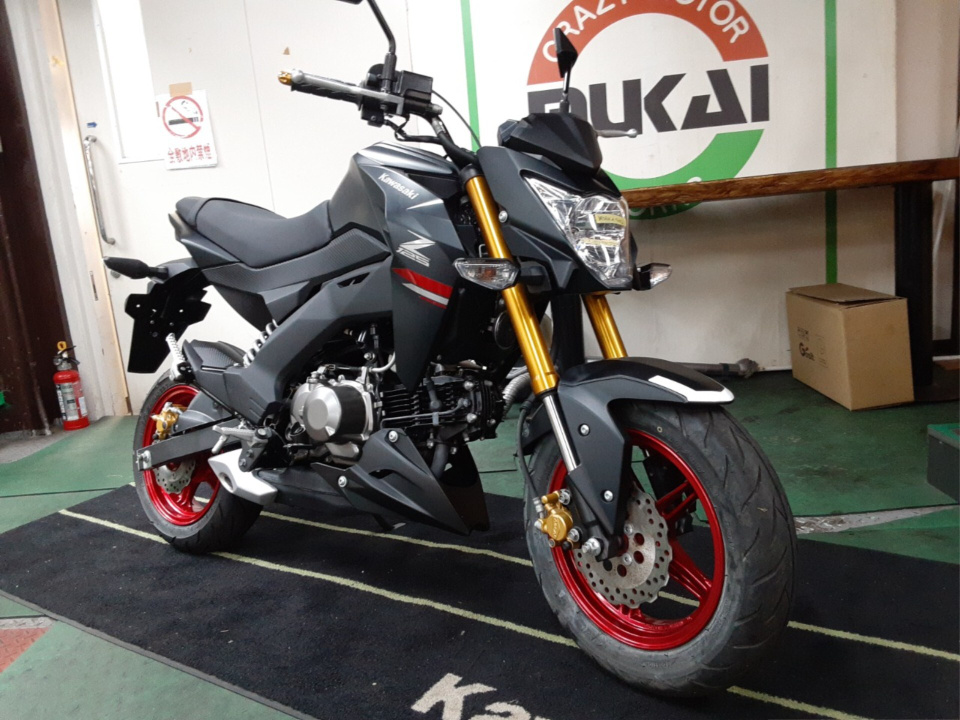 Kawasaki Z125 PRO 2021