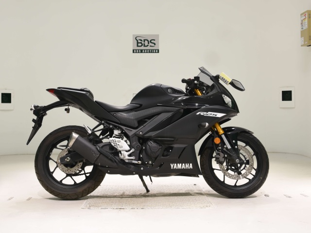 Yamaha YZF-R25 2019