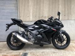 Suzuki GSX250R