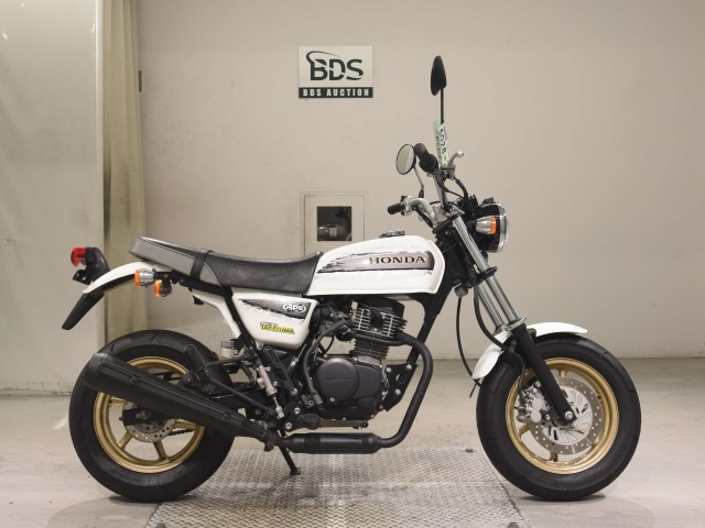 Honda APE100 2010