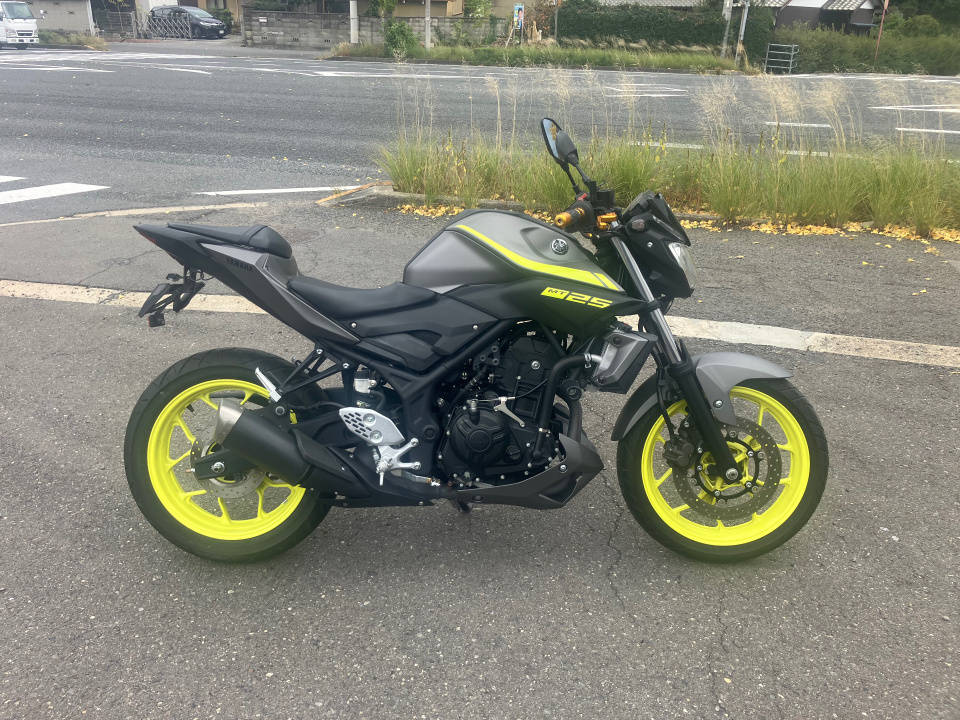 Yamaha MT-25 2018