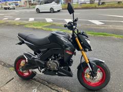 Kawasaki Z125 PRO 2021