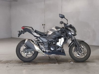 Kawasaki Z250 2017