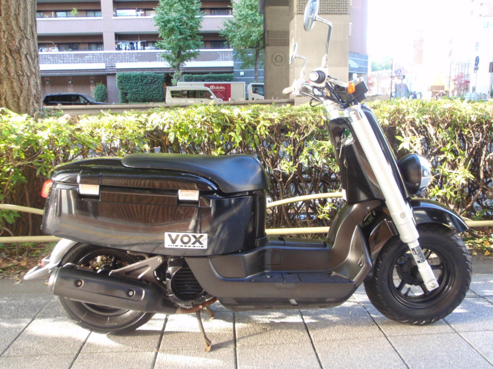 Yamaha VOX 2009