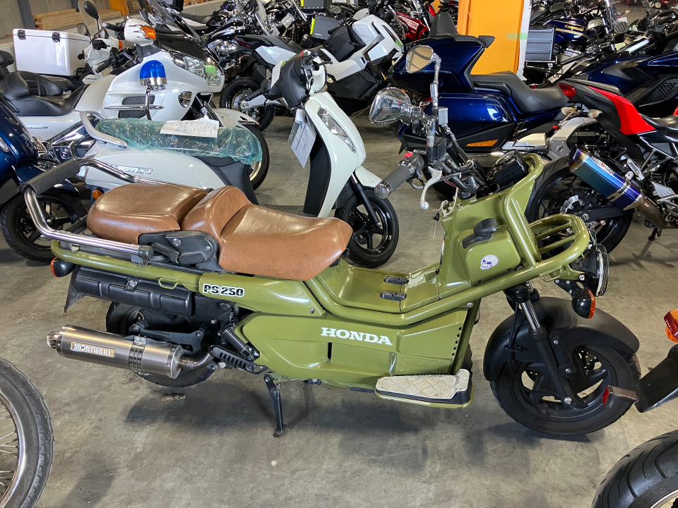 Honda PS250 BIG RUCKUS 2006