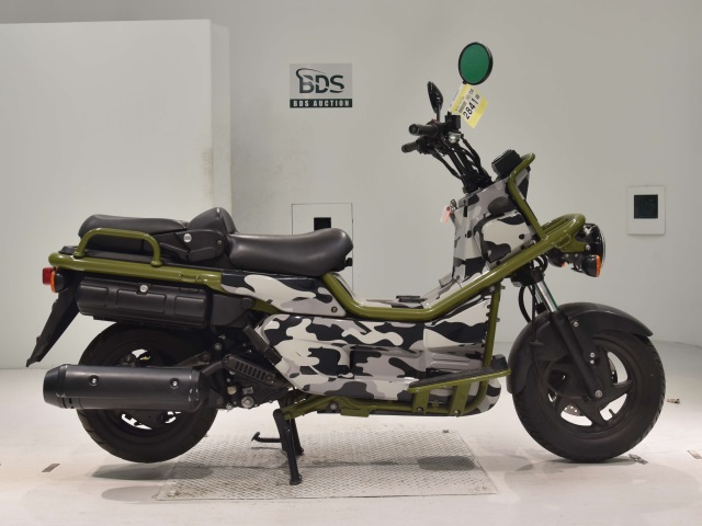 Honda PS250 BIG RUCKUS 2004