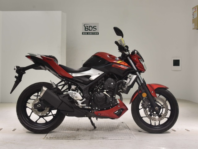 Yamaha MT-25 2016