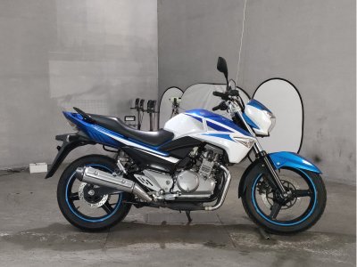 Suzuki GSR250