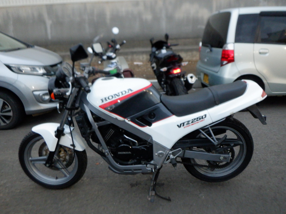 Honda VTZ250 1987