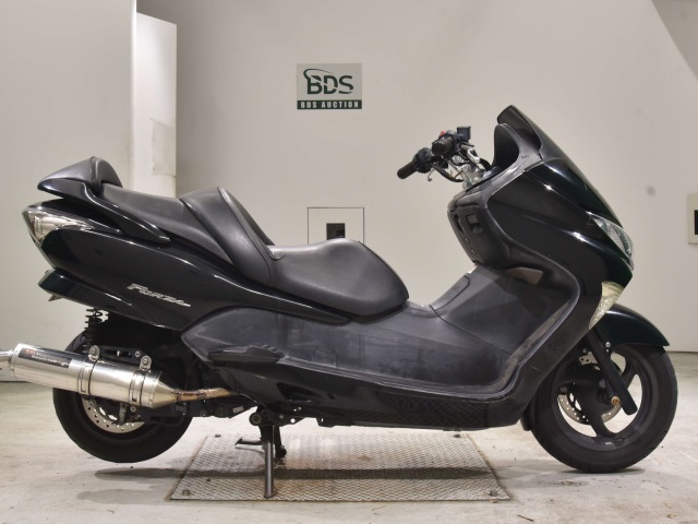 Honda FORZA Z 2006