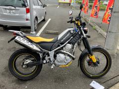 Yamaha TRICKER 2004