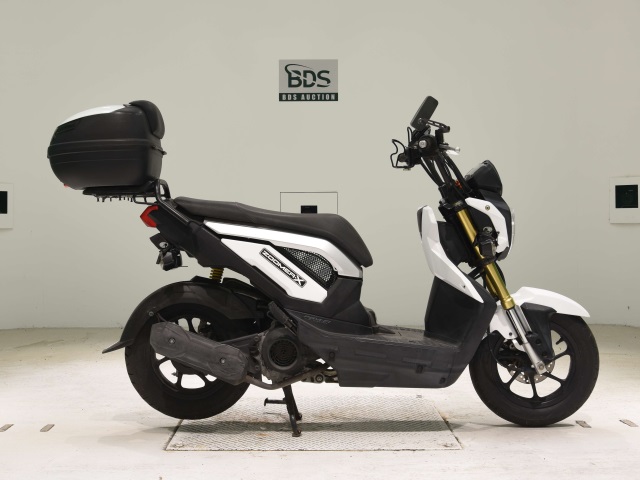Honda ZOOMER-X 2013