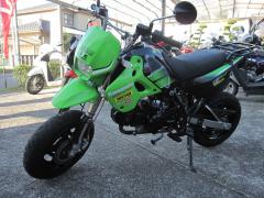 Kawasaki KSR110