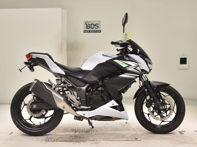 Kawasaki Z250 2014