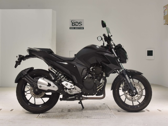 Yamaha FZ25 2019