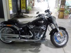 HD FATBOY FLFBS1868 2024