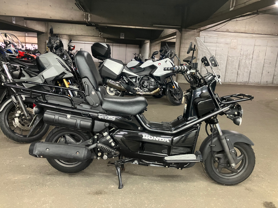 Honda PS250 BIG RUCKUS 2006