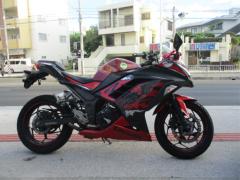 Kawasaki NINJA250 2017