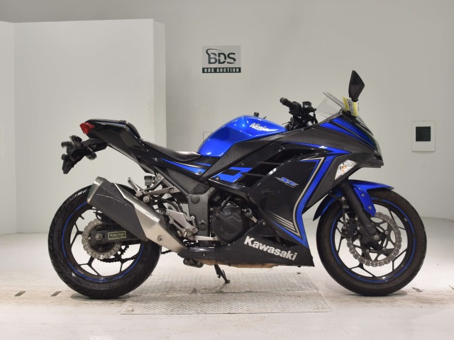 Kawasaki NINJA250 2015