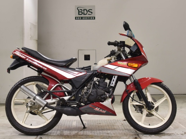 Kawasaki magnum