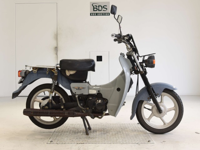 Suzuki BIRDIE90