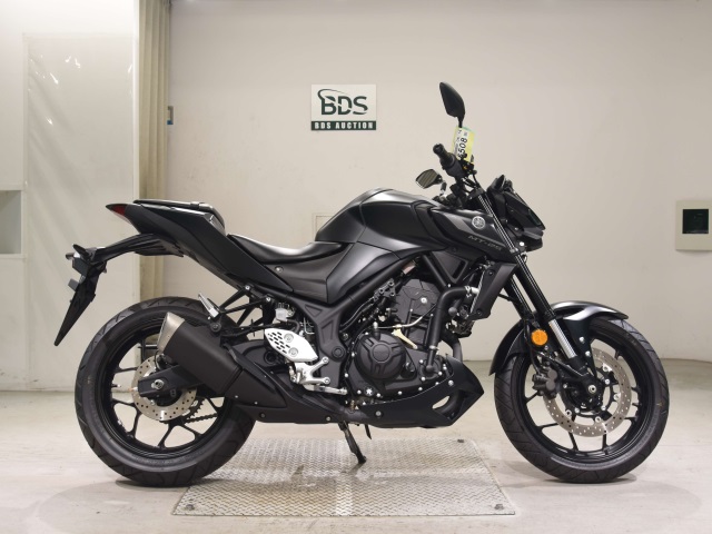 Yamaha MT-25 2022