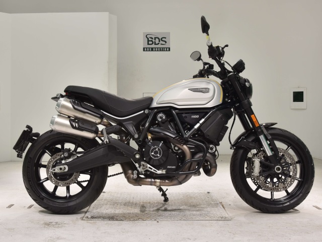 Ducati SCRAMBLER 1100 2022