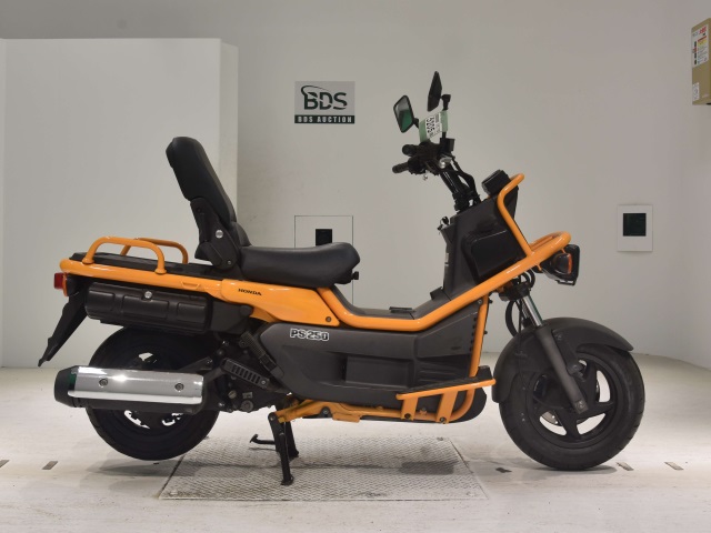 Honda PS250 BIG RUCKUS 2004