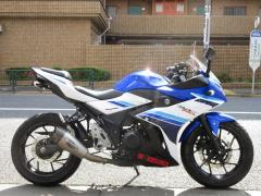 Suzuki GSX250R