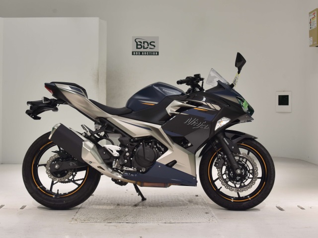 Kawasaki NJNJA250-2 2023