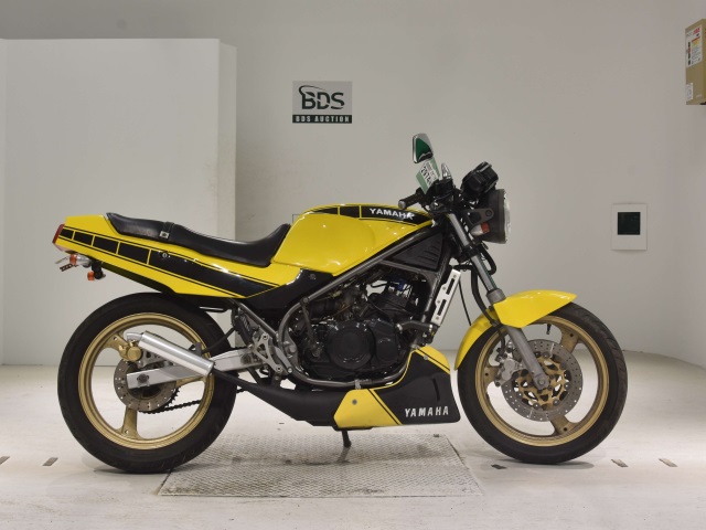 Yamaha RZ250R