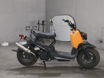 Honda ZOOMER 2009