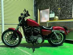 HD SPORTSTER XL883R 2011
