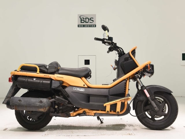 Honda PS250 BIG RUCKUS 2004