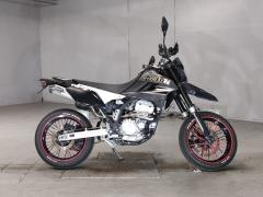 Kawasaki D-TRACKER250X 2009