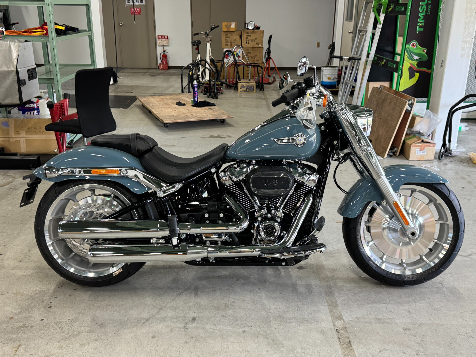 HD HARLEY FLFBS 2025