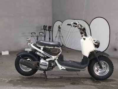 Honda ZOOMER 2006