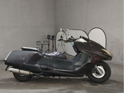 Yamaha MAGZAM 2007
