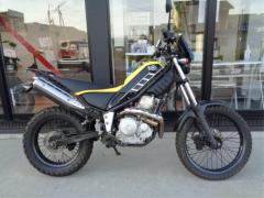 Yamaha TRICKER 2005