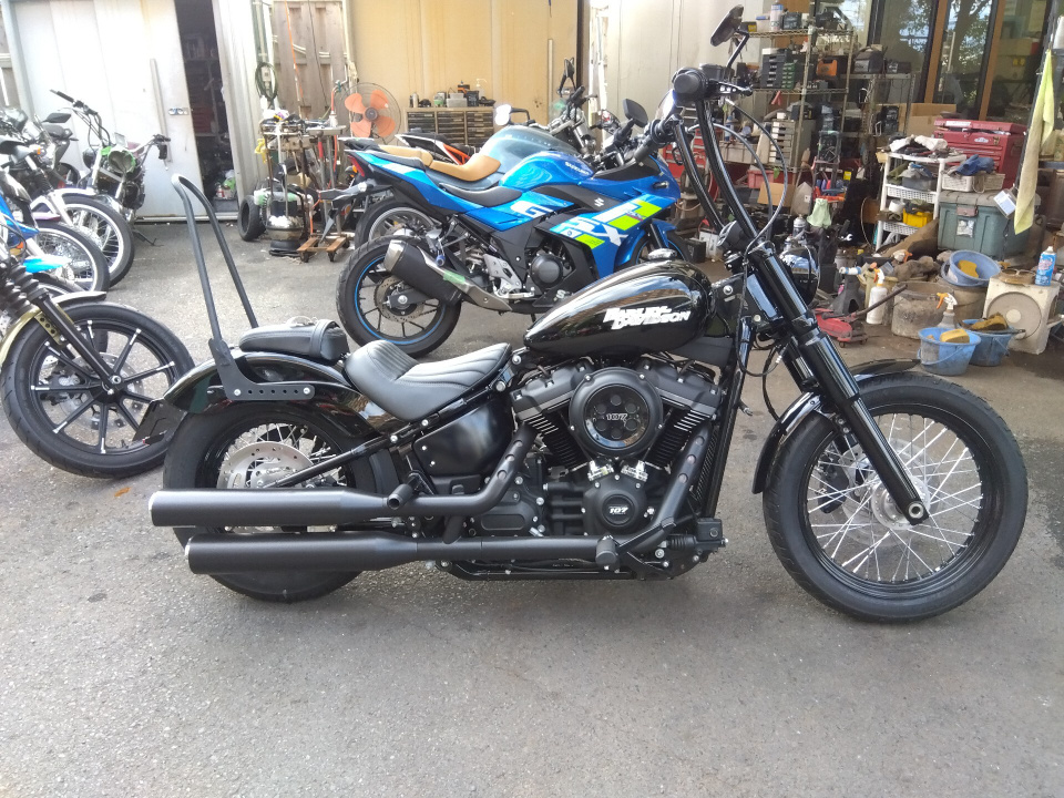 HD ELECTRA GLIDE FLHTCU 2018