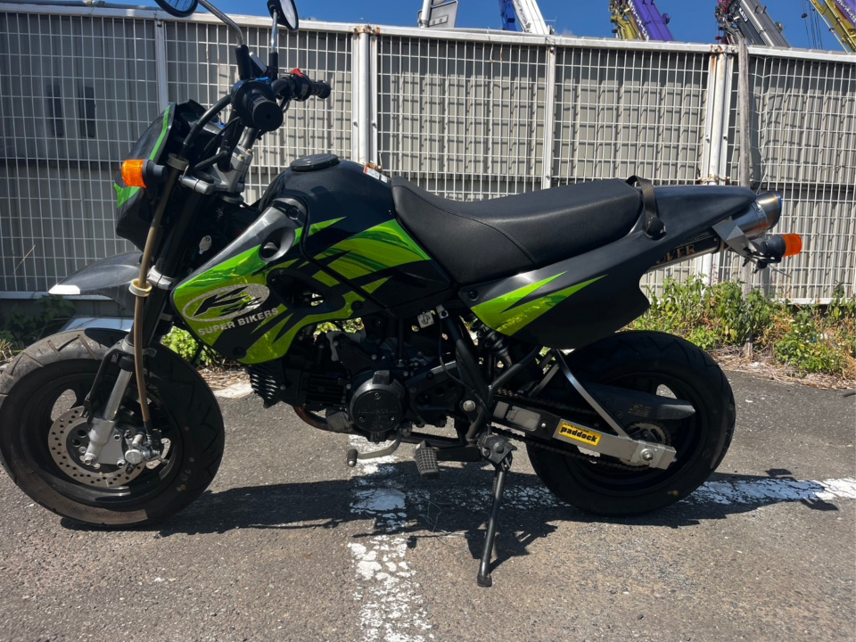 Kawasaki KSR110 2008