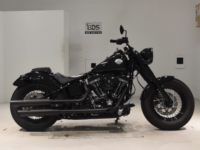 HD SLIM S FLSS1800 2016